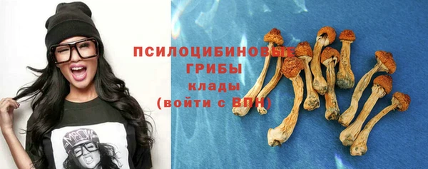 тгк Баксан